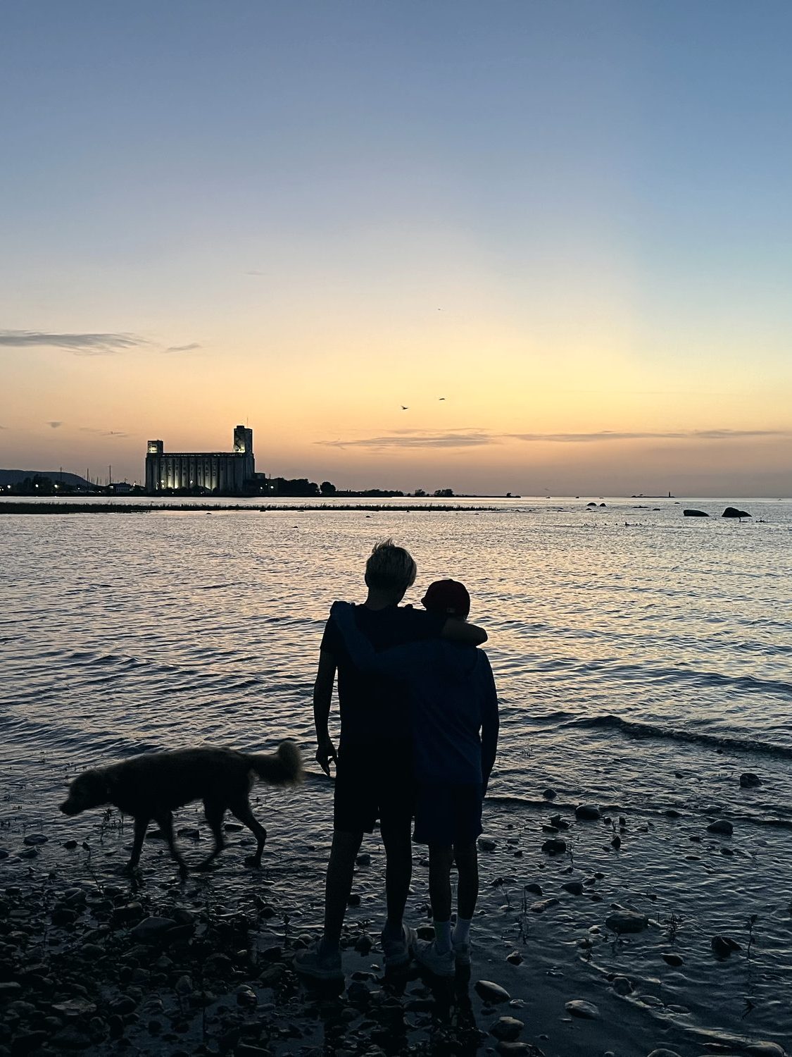 Two boys and their dog on the shore at dusk, the Collingwood Terminals lit behind them.